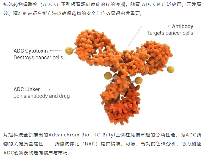 賦能ADC研發：月旭科技推出DAR分析關鍵鑰匙