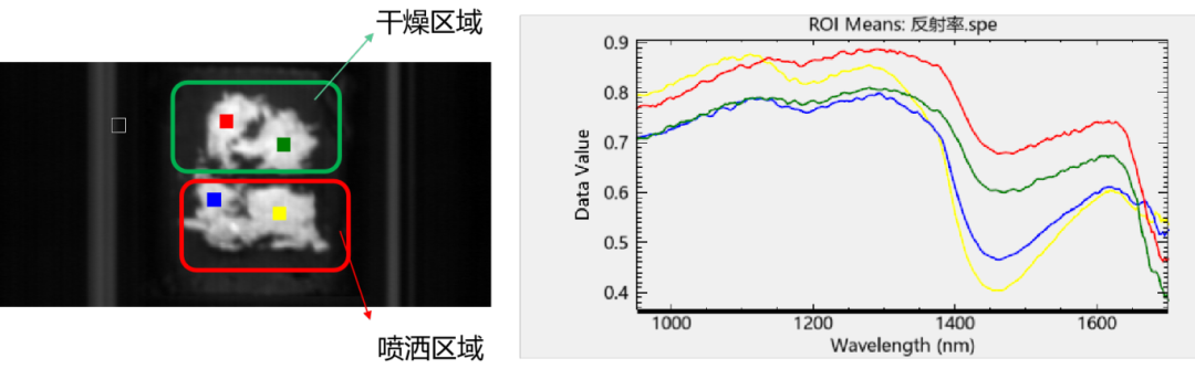 基于高光谱成像的烟叶表面香料检测实验研究
