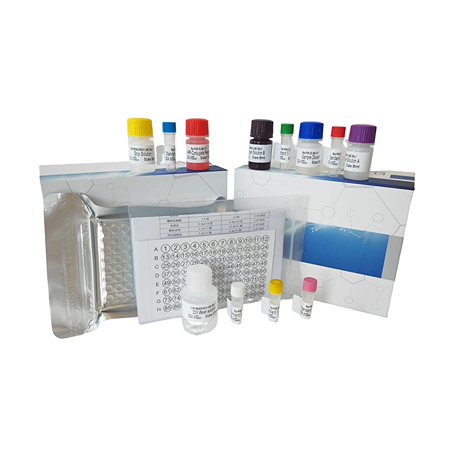 火拼12.12，上海研域生物ELISA檢測試劑盒專屬降價福利上線