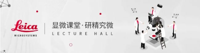 显微课堂 | 跨行业的质量保证改进