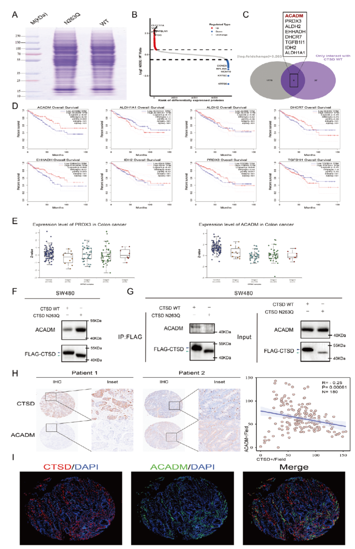 6389992222860949055343767