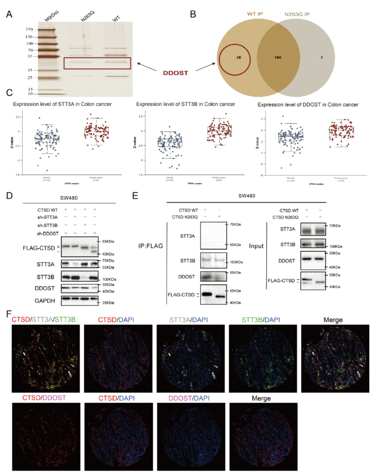 6389992229575223423469440
