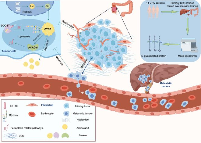 6389992234751064751447666