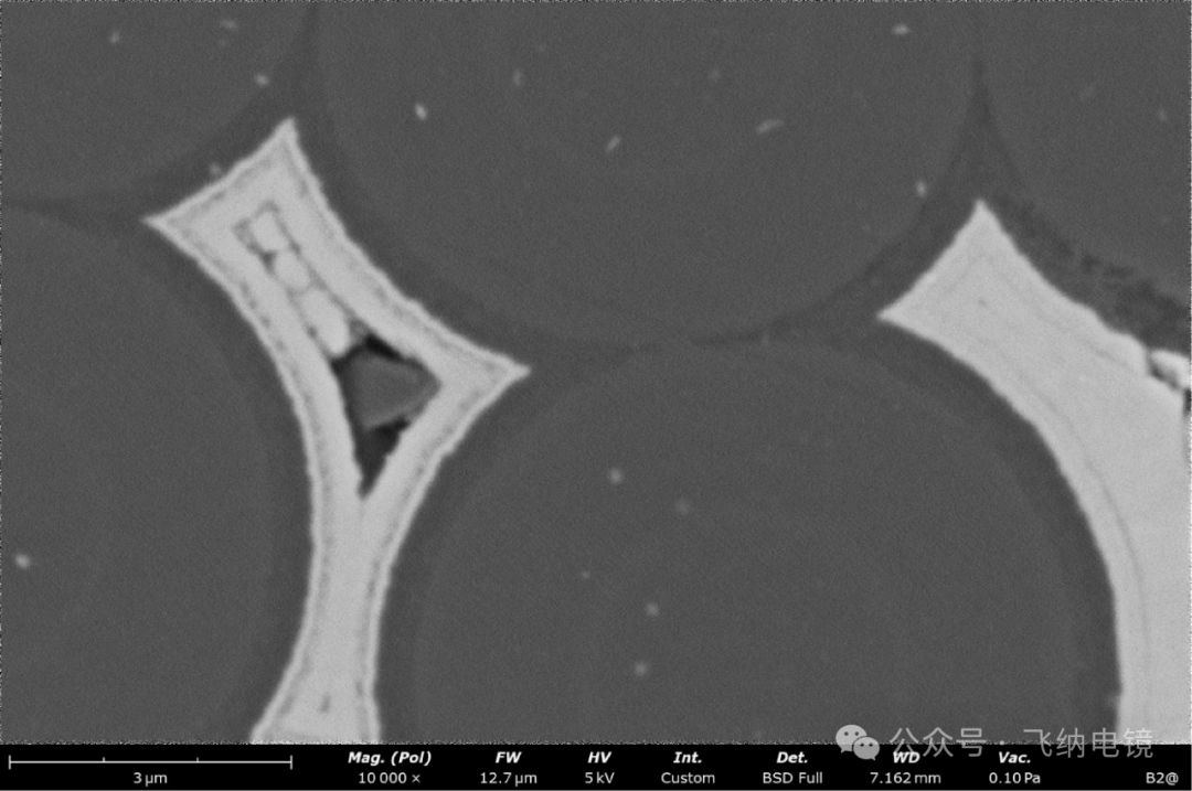 七代傳承!Phenom G7 掃描電鏡全新發布:3000小時燈絲壽命,讓穩定成為傳統