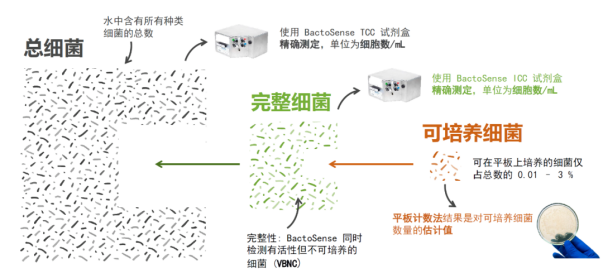 案例分析 | 使用BactoSense微生物分析仪监测再生水系统中的微生物风险