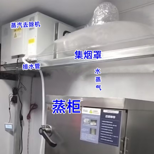 蒸飯車 蒸汽去除機 應用案例.jpg 500.jpg 如何有效處理蒸飯柜產(chǎn)生的水蒸氣