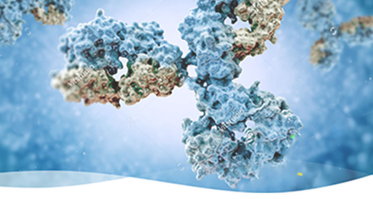 a47be4bc-0a9b-419a-91a2-5f1419988a55.jpg Lucerna Technologies(美国)代理商 2026授权代理-上海起发