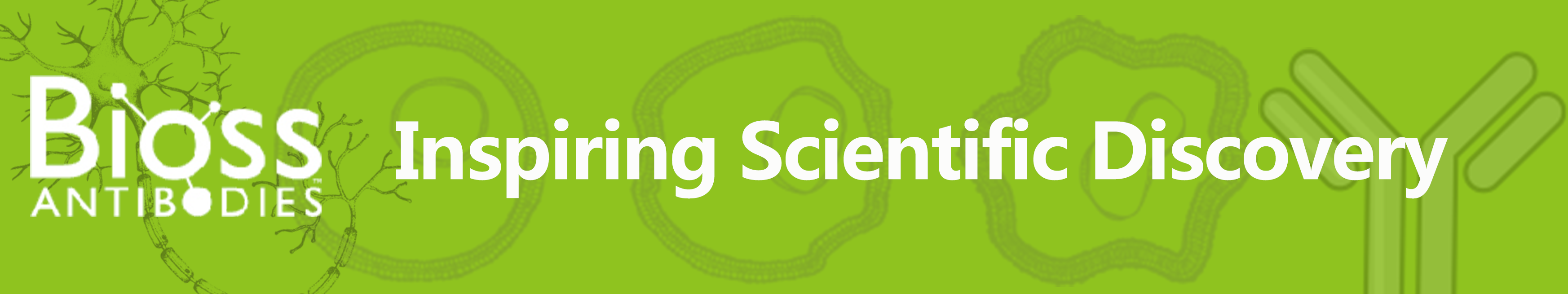 20220217092273317331.png 重點推薦 | 藥物小分子檢測相關配對抗體!