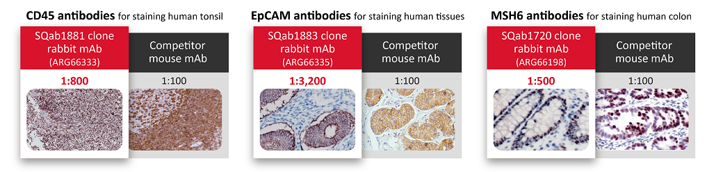 杭州恩瑞科生物Arigo Bio代理商 2026授权代理-AMJS澳金沙门
