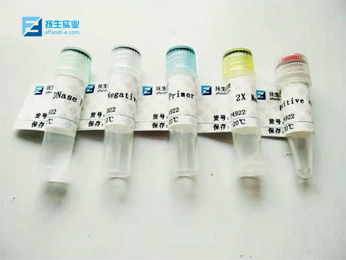 affandi-e上海撫生代理商 2026授權代理-上海起發