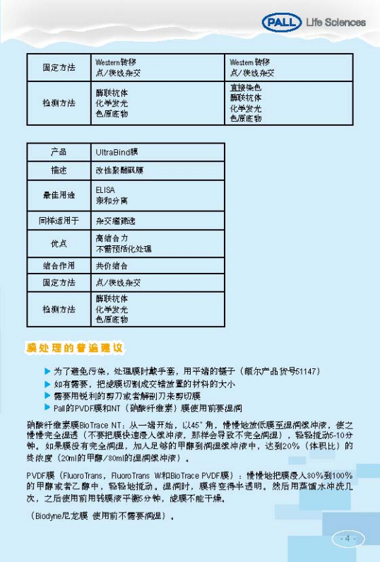 PALL PVDF转印膜 NC转印膜