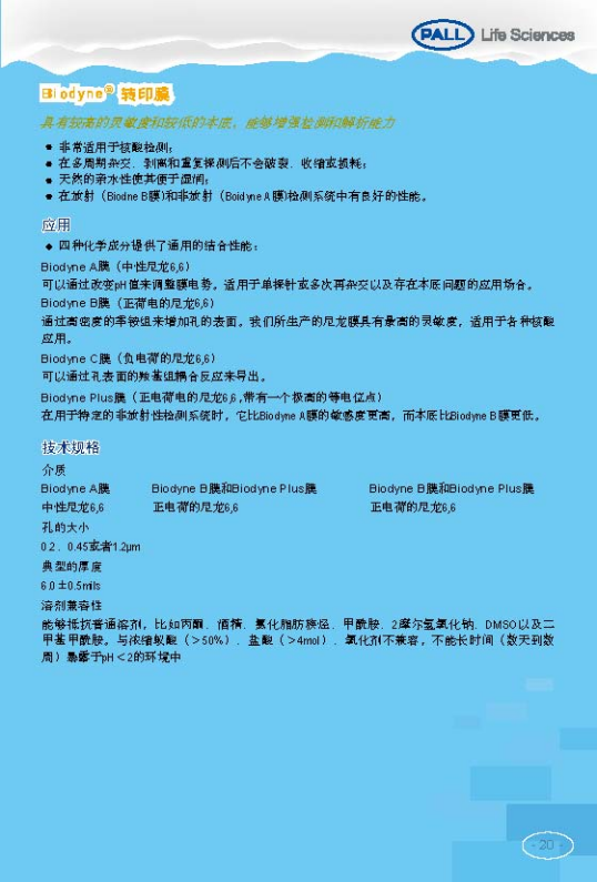 PALL PVDF转印膜 NC转印膜