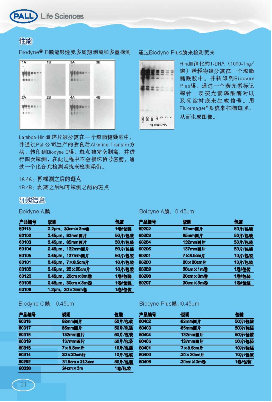 PALL PVDF转印膜 NC转印膜