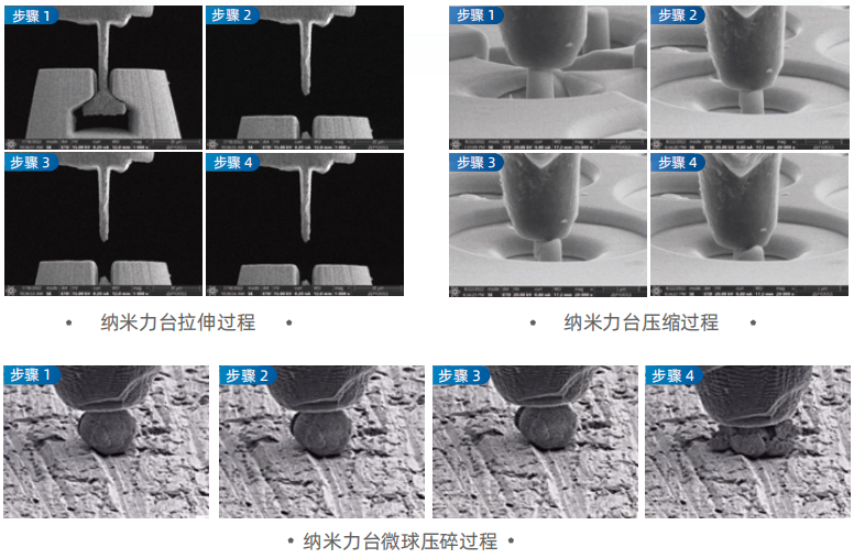 黑白之间的微观真相:扫描电镜与原位SEM如何揭示材料结构与演化