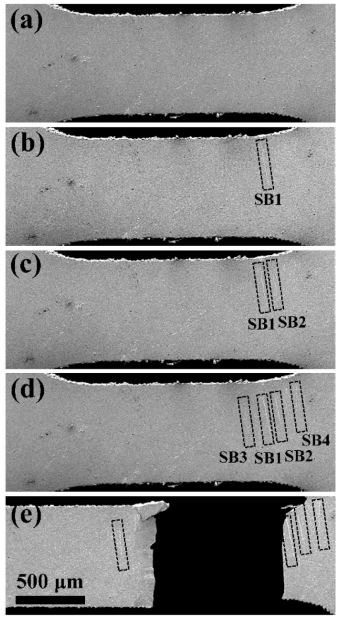 黑白之间的微观真相:扫描电镜与原位SEM如何揭示材料结构与演化