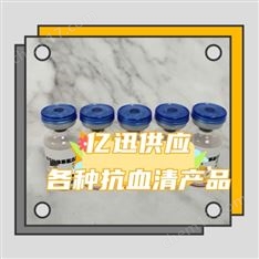 a1胰-蛋白酶(a1-AT)抗血清