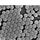 磁性聚苯乙烯納米球和微球