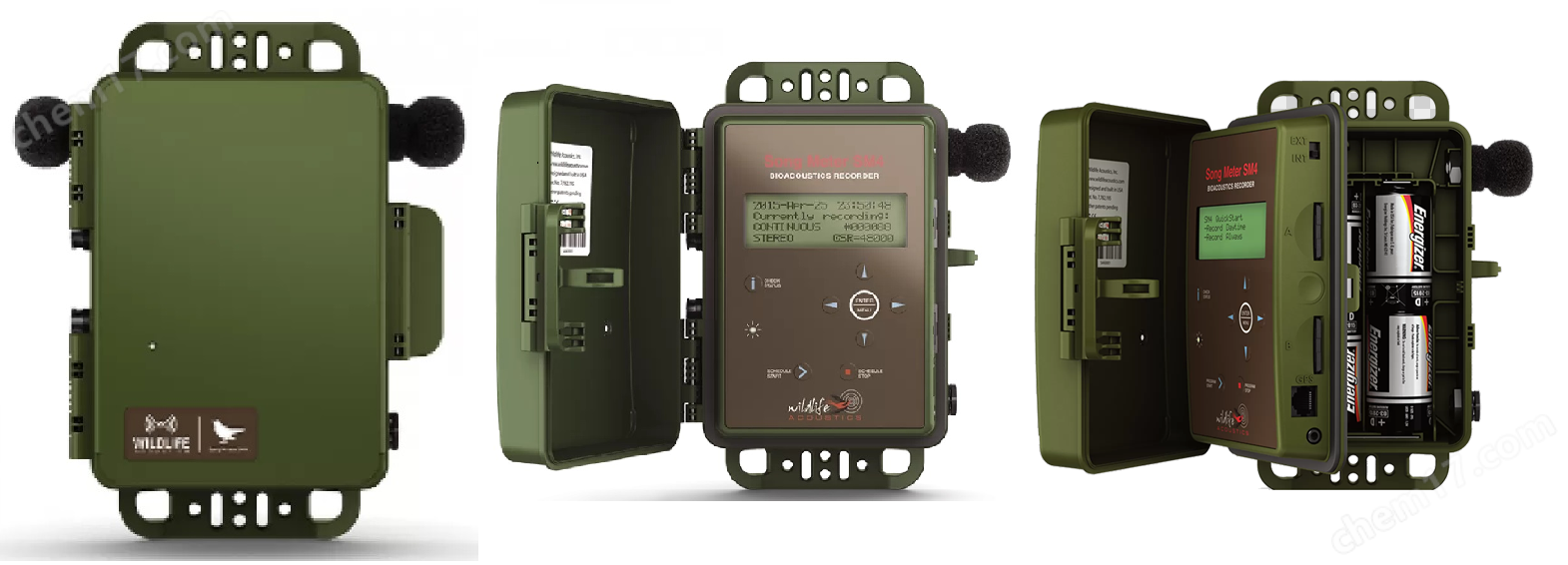 wildlife野生動物鳴聲記錄儀