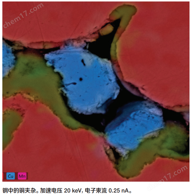 image.png 掃描電子顯微鏡