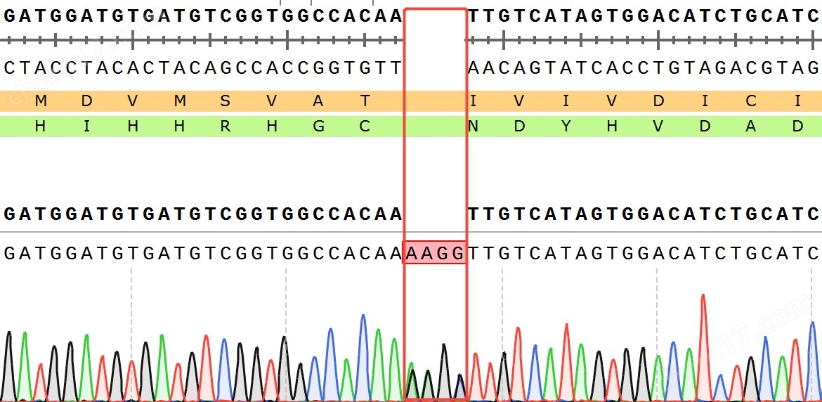 测序-74469.jpg CD3E KO NFAT-Luc Jurkat