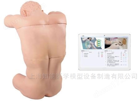 交互式腹腔穿刺操作訓練模型