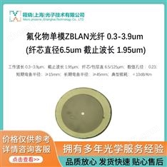 氟化物單模ZBLAN光纖 0.3-3.9um (纖芯直徑6.5um 截止波長 1.95um)