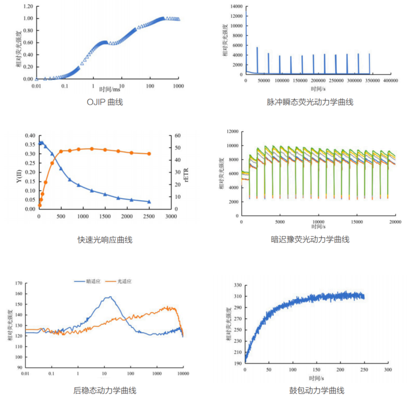 Yaxin-1165  植物熒光動力學測量系統