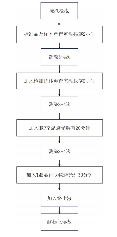 Human TNF-α ELISA Kit