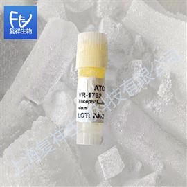 Encephalomyocarditis virus ATCC VR-1762